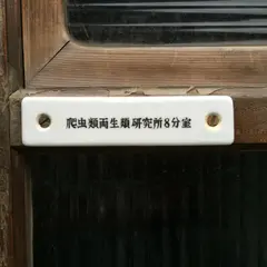 爬虫類両生類研究所8　喫茶 分室