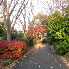 野庭中央公園