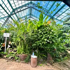 爪木崎花園