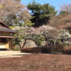 皇居東御苑