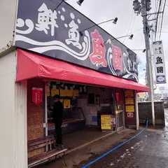 魚國