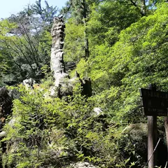 翁杉跡地