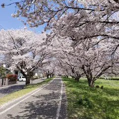 川越狭山自転車道線