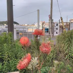 久里浜魚港