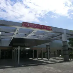 泉の森ホール