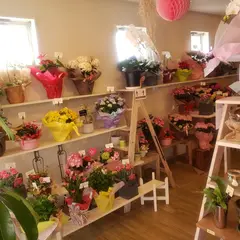 花乃館 野乃花