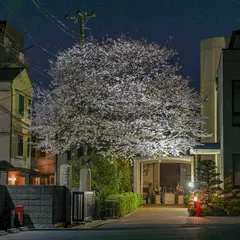 妙泉寺