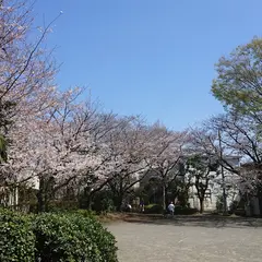 新田緑道