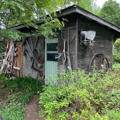 B&B白樺と風