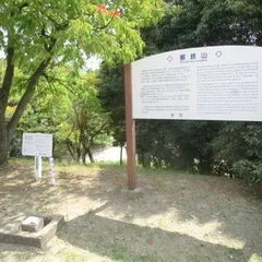 蘇鉄山