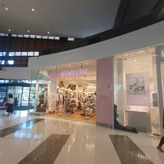 Peter Alexander