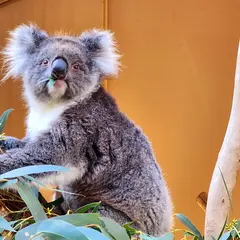 クルランド・ワイルドライフ・パーク