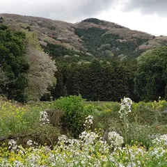 高峯見晴デッキ