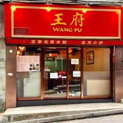 Wang Fu