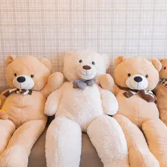 【最安】🧸テディー四条河原町24h/レンタルスペース/撮影スタジオ/貸スペース