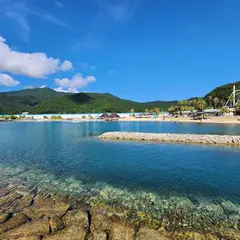 錦向井ヶ浜遊パークトロピカルガーデン