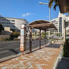 県庁前（パレット向け）