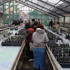 湘南クレマチス園農場