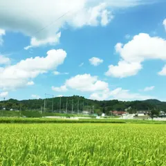 ビルネラーデン