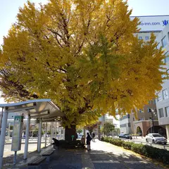 日立駅中央口