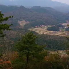 円山