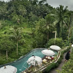 Elephant Safari Park（エレファント・サファリパーク）