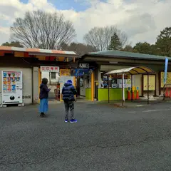 狭山市立智光山公園こども動物園