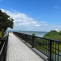烏丸半島