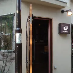 Nautilus