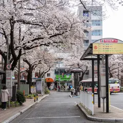国立駅南口（バス）（羽田空港線・上り）