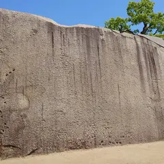 大阪城 蛸石