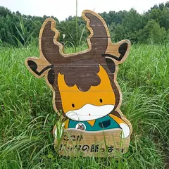 群馬県立ぐんま昆虫の森 バッタの原っぱ