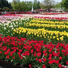 砺波市美術館