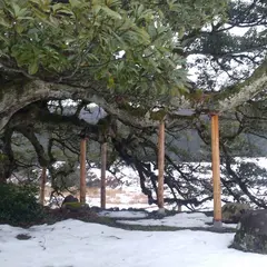 長坂の大いぬくす