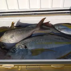 舵丸