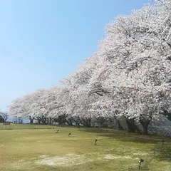大塚山公園