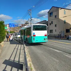 長江口