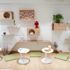 Kin Neko Cat Cafe
