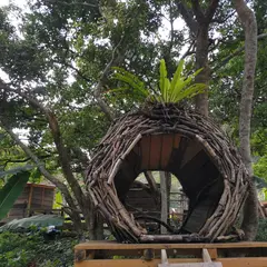 亜熱帯サウナ