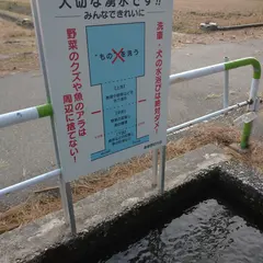 塩工場跡の清水