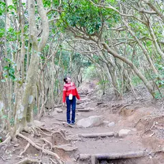 糸島のトトロの森