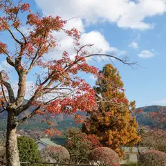 箱根美術館 駐車場