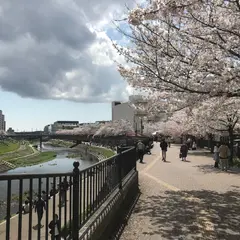 柏尾川遊歩道