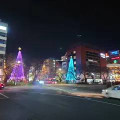 大学通り
