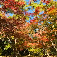 長瀞玉淀自然公園