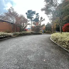 日光市神橋駐車場