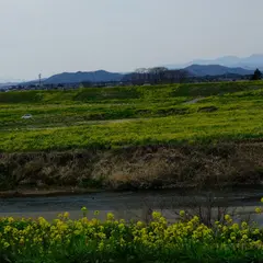 小山乙女河岸歴史公園
