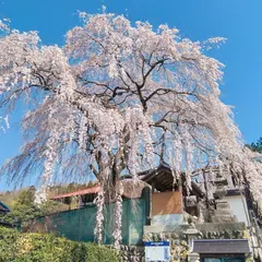 東昌寺
