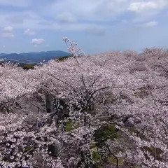 御津山園地