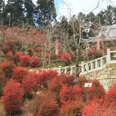呑山観音寺